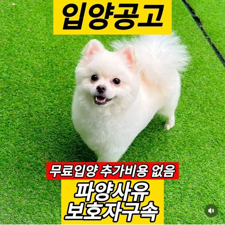 사쿠라`s 이미지 2
