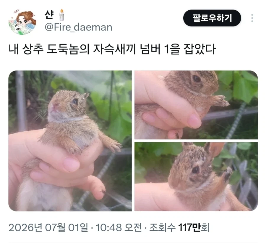 엣지러너2)중년 사이버사이코 아저씨 설정 이미지 4