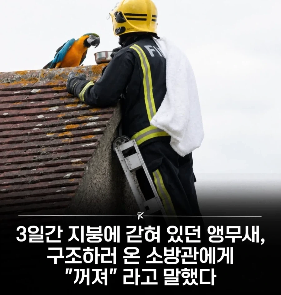 ↗명보 미국 런 ㅋㅋㅋㅋㅋ 이미지 2
