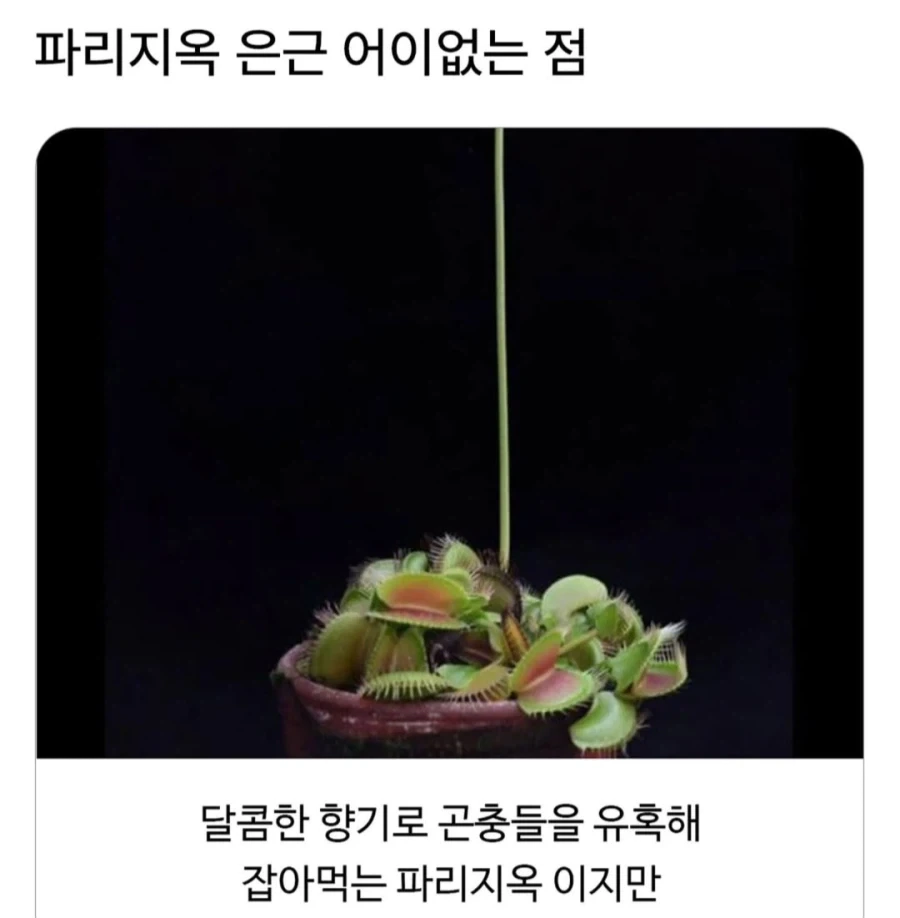 Snp500 진짜 개웃긴다 이미지 2