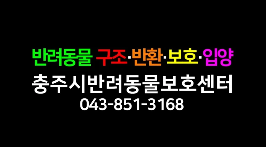 김선태 충주맨 복귀한 줄 알았네_4.webp