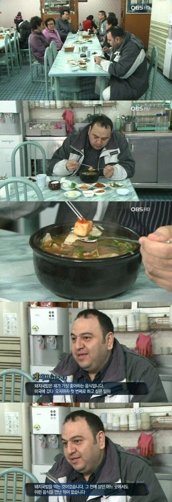 고양이과 맹수 세계관 최강자.jpg 대표 이미지
