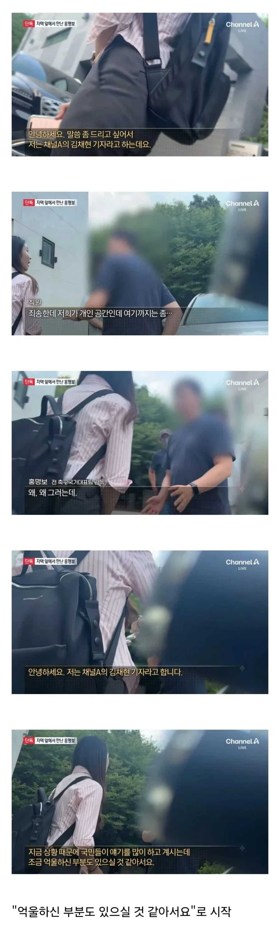 파리지옥 은근 어이없는 점 대표 이미지