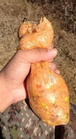 생수 먹을때 똥맛나는 이유 대표 이미지