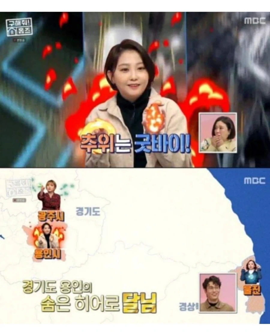 현실판 이브이 세쌍둥이.jpg_12.webp