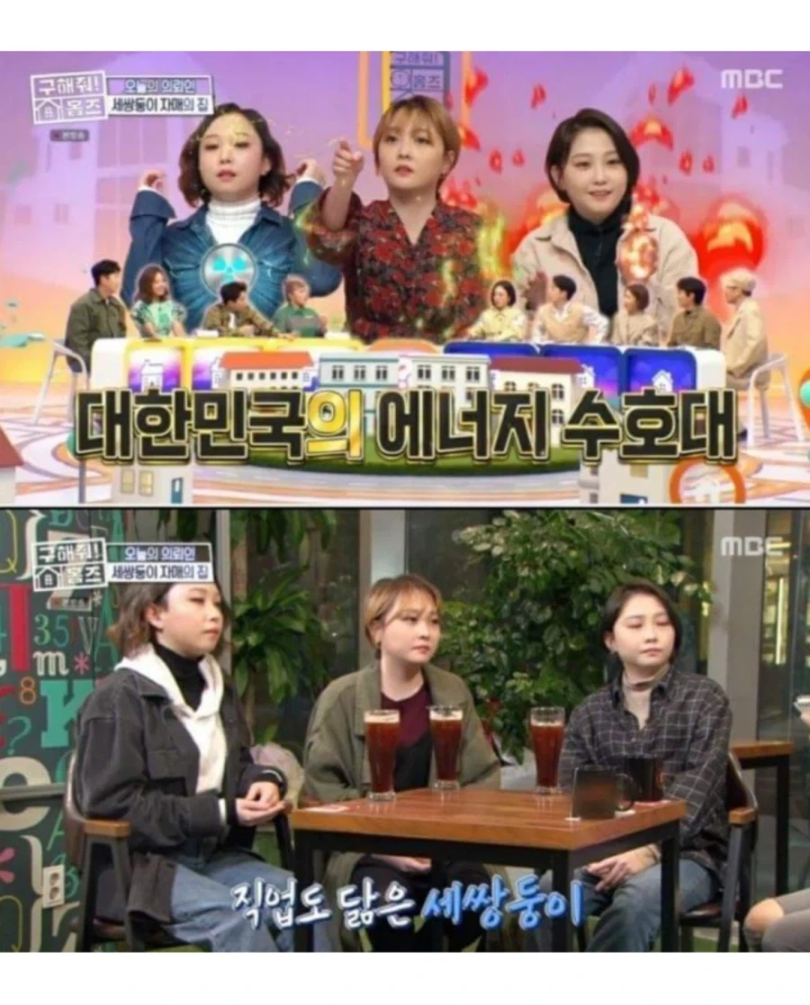 현실판 이브이 세쌍둥이.jpg_13.webp