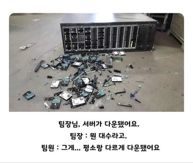 귀청소받은고양2 대표 이미지