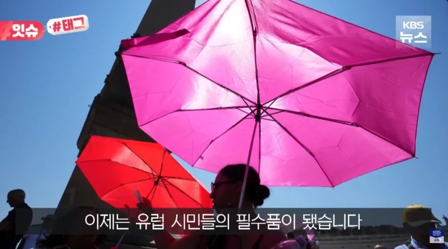 폭염에 미쳐버린 유럽 사람들.jpg_4.webp