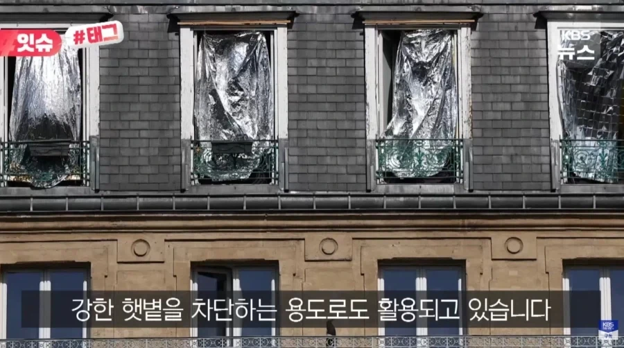 폭염에 미쳐버린 유럽 사람들.jpg_9.webp
