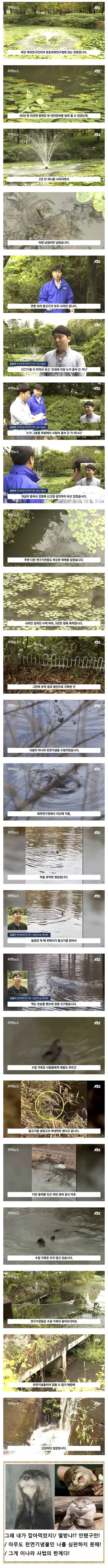 로맨스 스캠에 당한 형.jpg 대표 이미지
