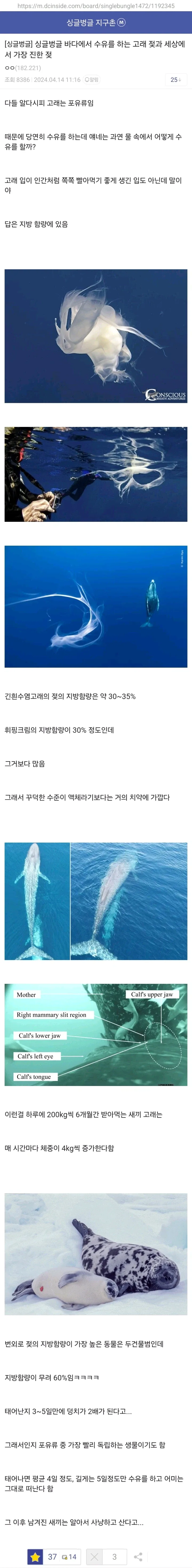 가장 한국적인 공항이라는 대구국제공항..jpg 대표 이미지