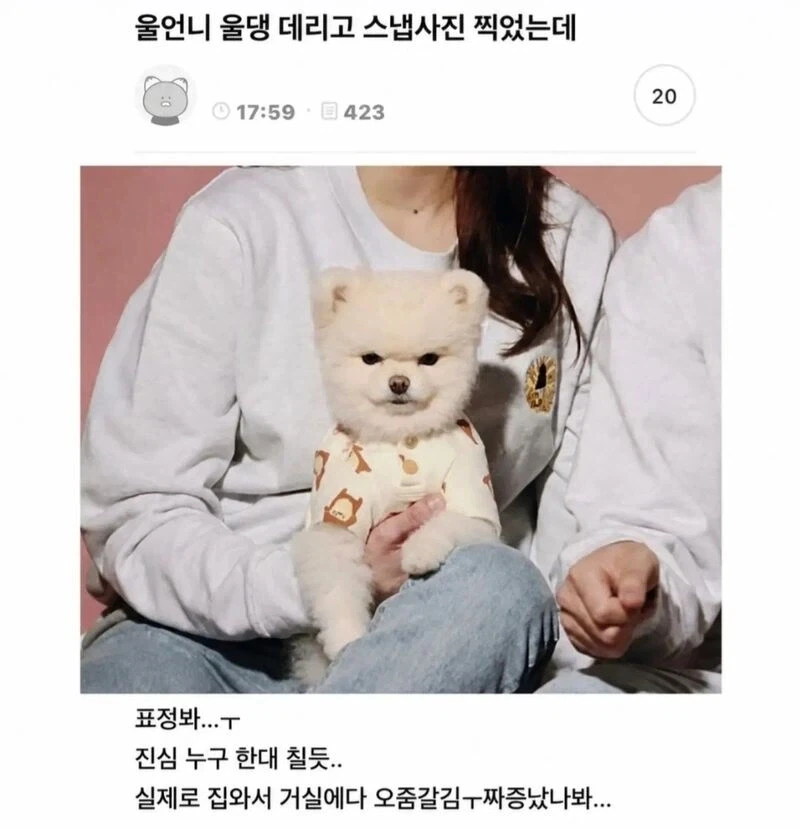 홍명보의 손흥민에 대한 발언들 모음 대표 이미지