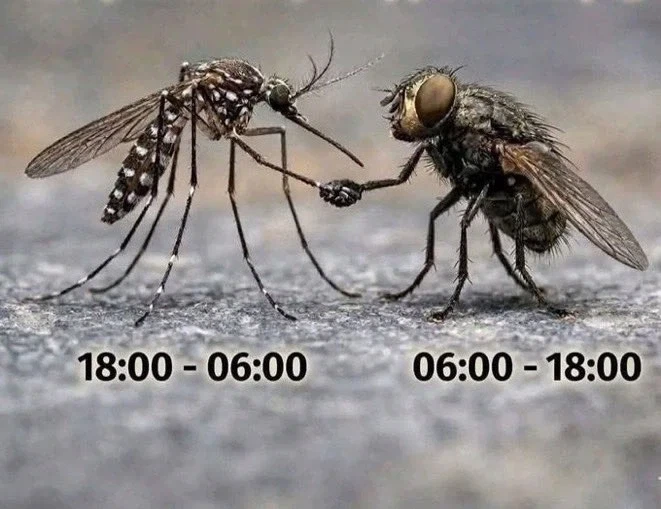 트릭컬)파워인플레가 웃긴 점 대표 이미지