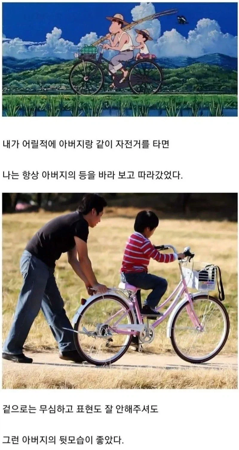 원피스에서 나미의 항해술이 얼마나 수준급인지 알아보자 이미지 2