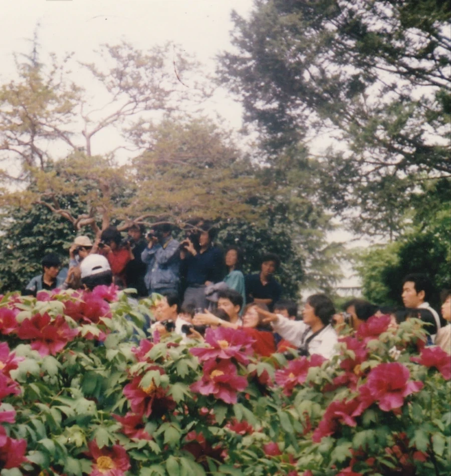 1980년대 사진들.JPG_36.webp