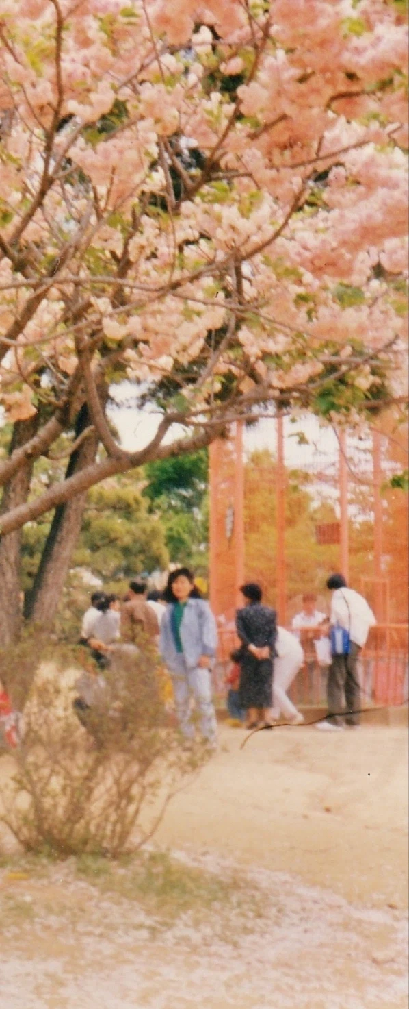 1980년대 사진들.JPG_37.webp