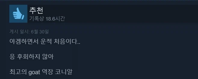 스팀에서 압도적으로 긍정적 찍은 게임_3.webp