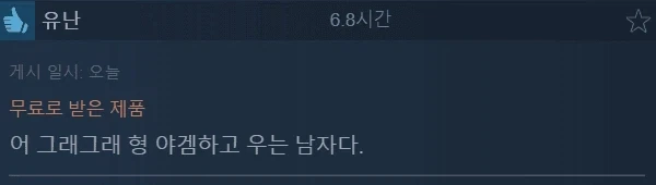 스팀에서 압도적으로 긍정적 찍은 게임_4.webp