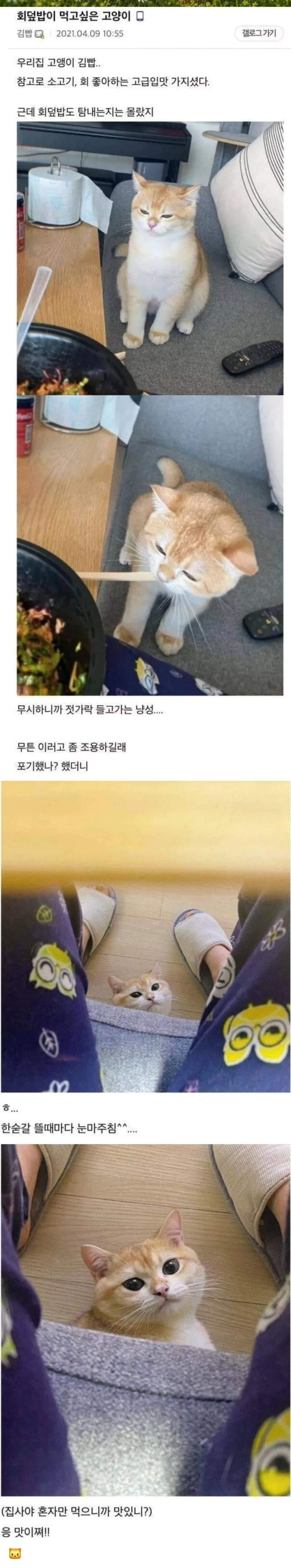 양덕의 보아 핸콕 코스프레 대표 이미지