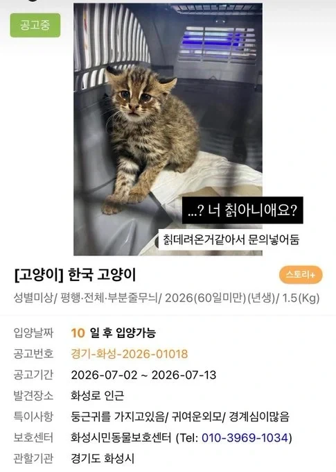늑대아이 여주인공 멘탈 수준.jpg 이미지 2