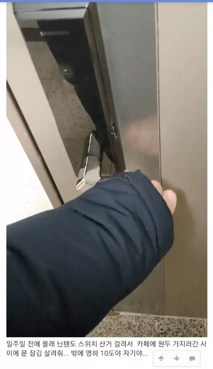 스팀에서 압도적으로 긍정적 찍은 게임 대표 이미지