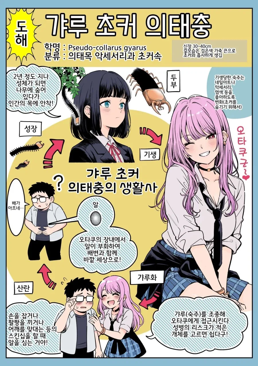 @)린제와 카호와 눈물 대표 이미지
