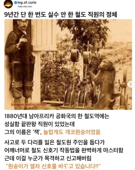 레즈들의 싸인 대표 이미지