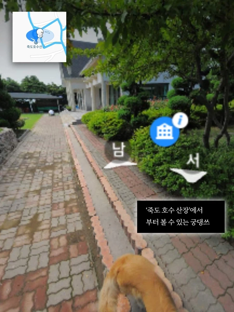 섬 로드뷰 찍는데 계속 따라오는.._6.webp