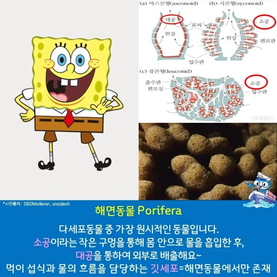 하늘이준 청년미래적금 대표 이미지