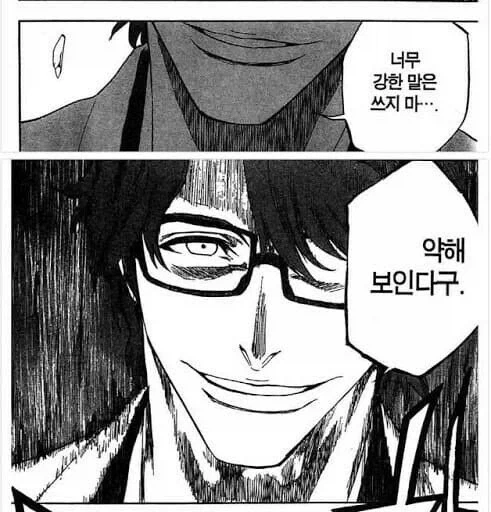 블리치 보는데 아이젠 소스케라는 녀석 인터넷 밈밖에 안 해_2.webp