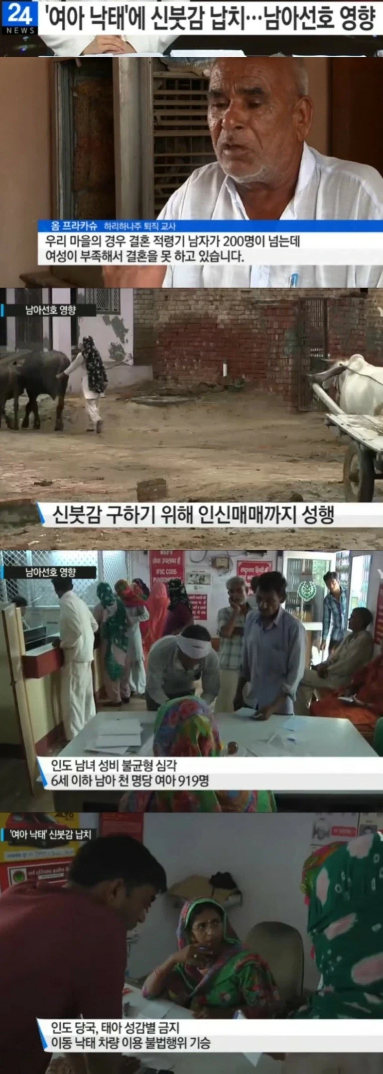 호르무즈때문에 정줗놓은 개미 대표 이미지