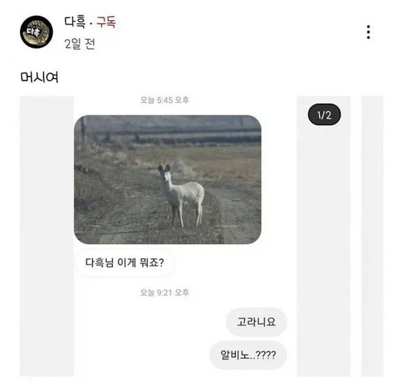 29만원짜리 피규어 대표 이미지