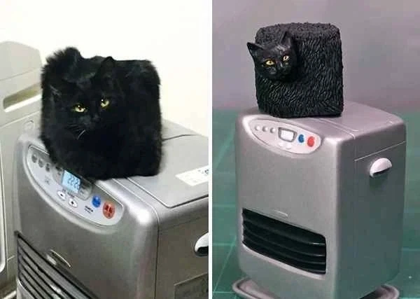 너무너무 귀여운 검은 고양이_2.webp
