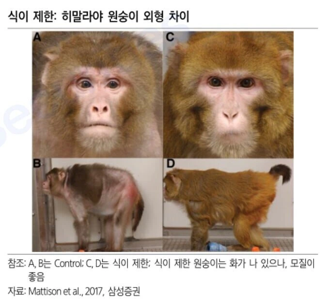 “노화를 막는 것은 소식하는 습관”.jpg_2.jpeg