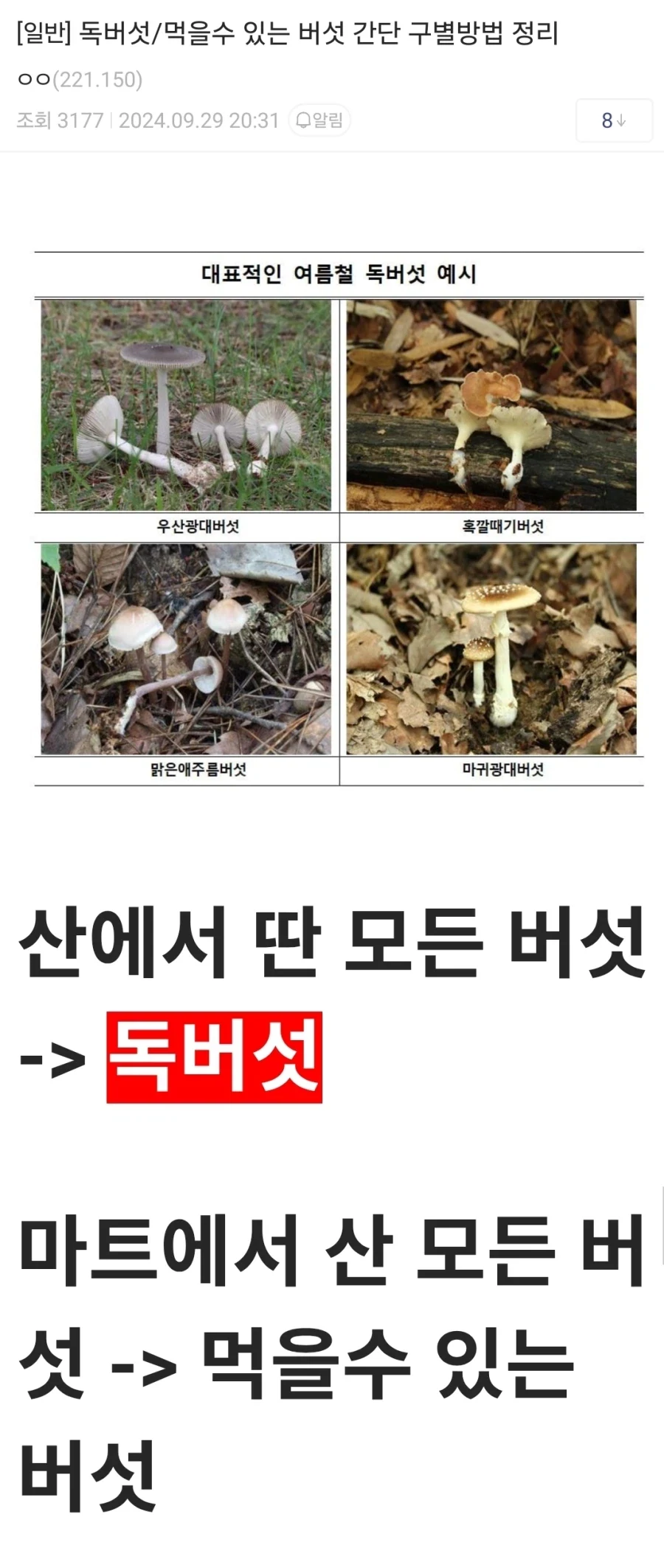 약속장소가는데 편도 3시간 돌파 이미지 2