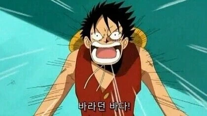 원피스 작가가 잊지않은 소소한 셀프 오마주들_3.webp