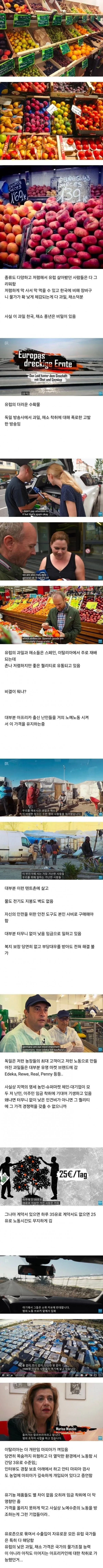 남자 공무원들이 7월을 두려워하는 이유 대표 이미지