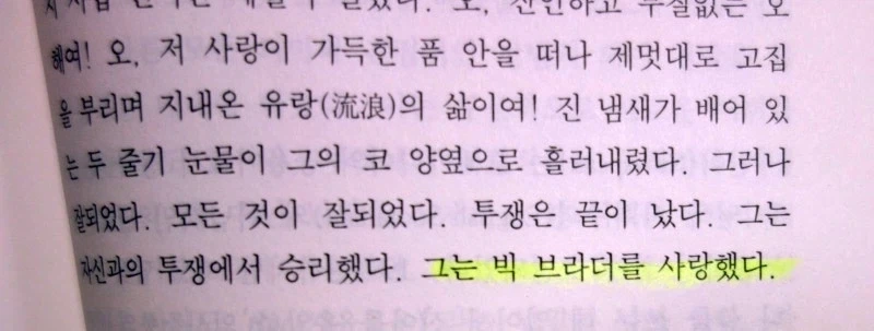 만화랑 소설에 넣어도 되는 밈 종류_5.webp
