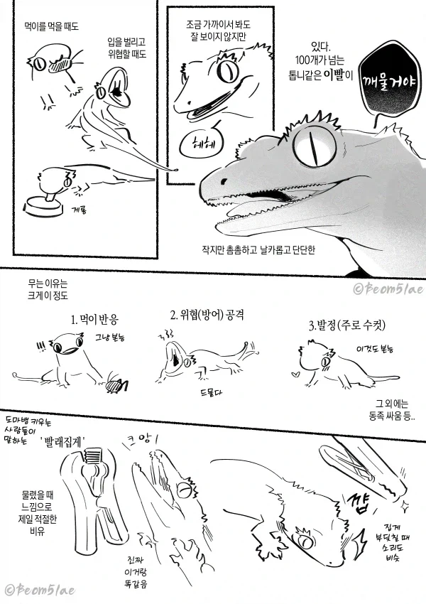 스카이림 광부의 일기 만화.manhwa 대표 이미지