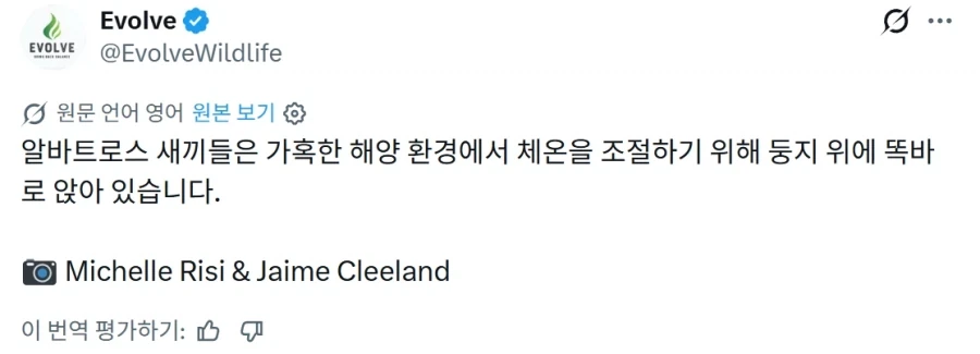 국기무스메) 한바탕 하고 난 후 이미지 12