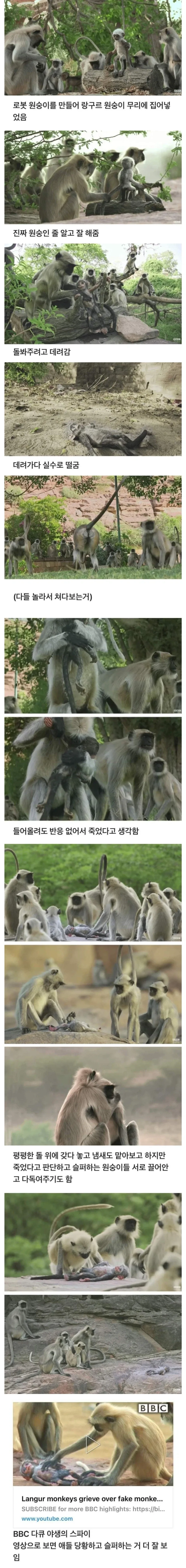 가벼운 우울증 있었는데 주식하고 싹 사라짐.jpg 이미지 2