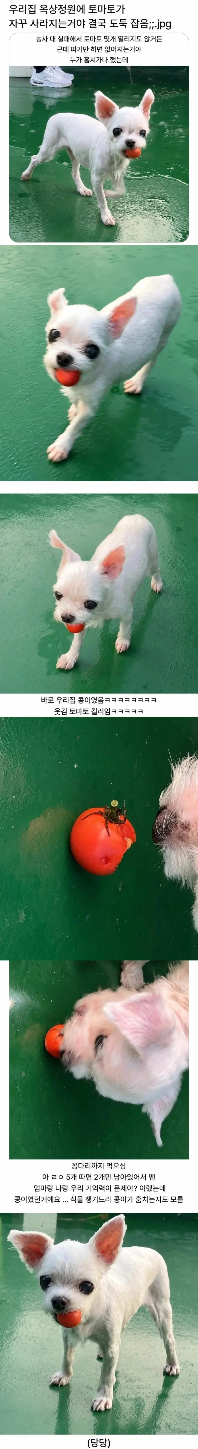 전 여자친구 버리고 새여친 사귄 사람 대표 이미지