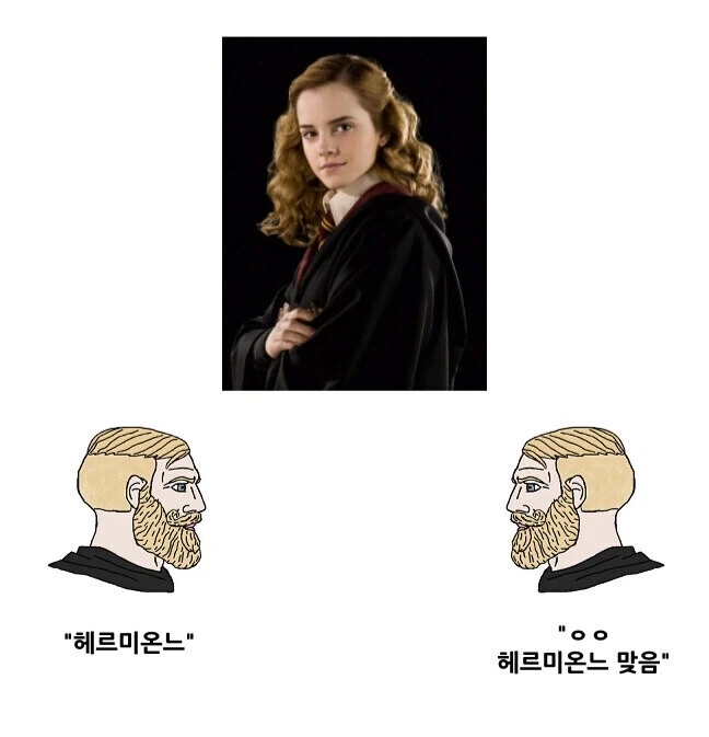 해리포터 번역자가 인정한 오역_2.webp