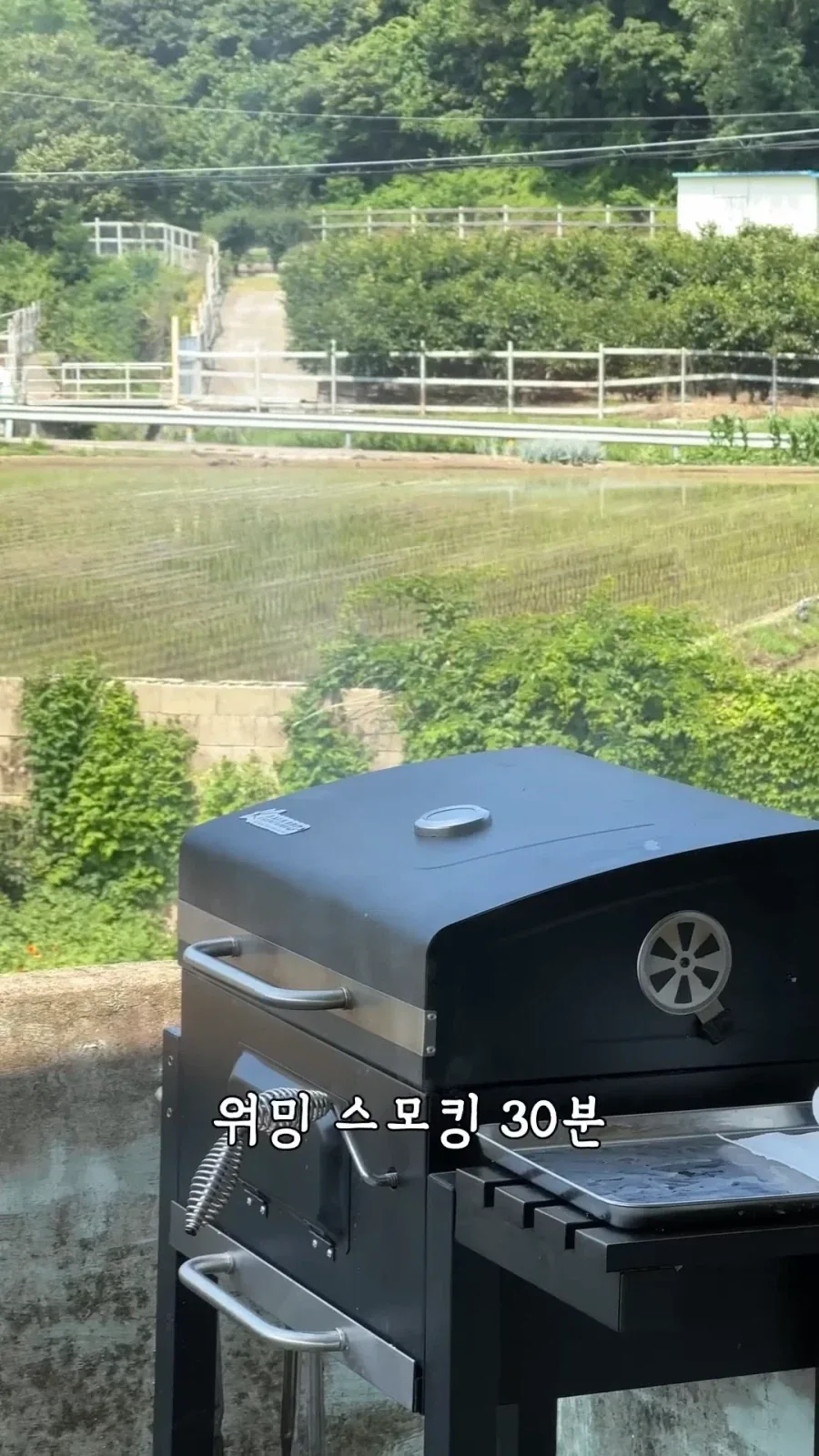 "거 낮잠자기 딱좋은 날씨네" 이미지 2
