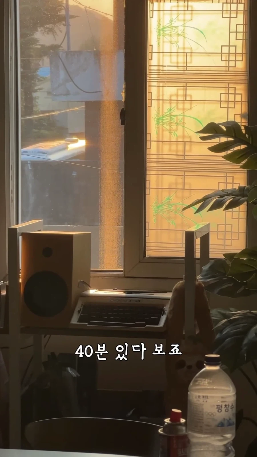 "거 낮잠자기 딱좋은 날씨네" 이미지 12
