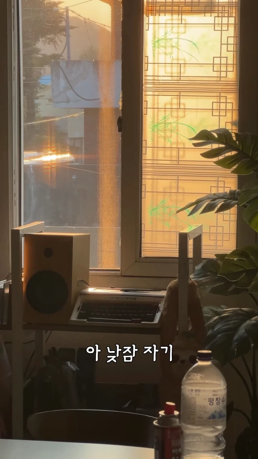 "거 낮잠자기 딱좋은 날씨네" 이미지 13