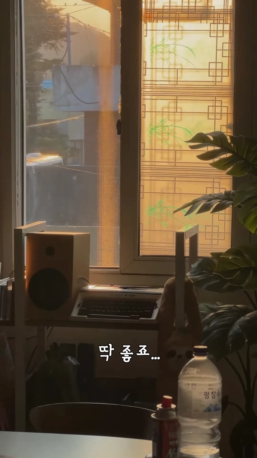 "거 낮잠자기 딱좋은 날씨네" 이미지 14
