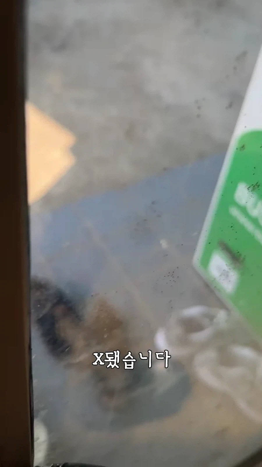 "거 낮잠자기 딱좋은 날씨네" 이미지 16