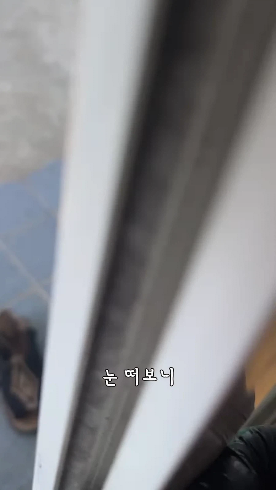"거 낮잠자기 딱좋은 날씨네" 이미지 17
