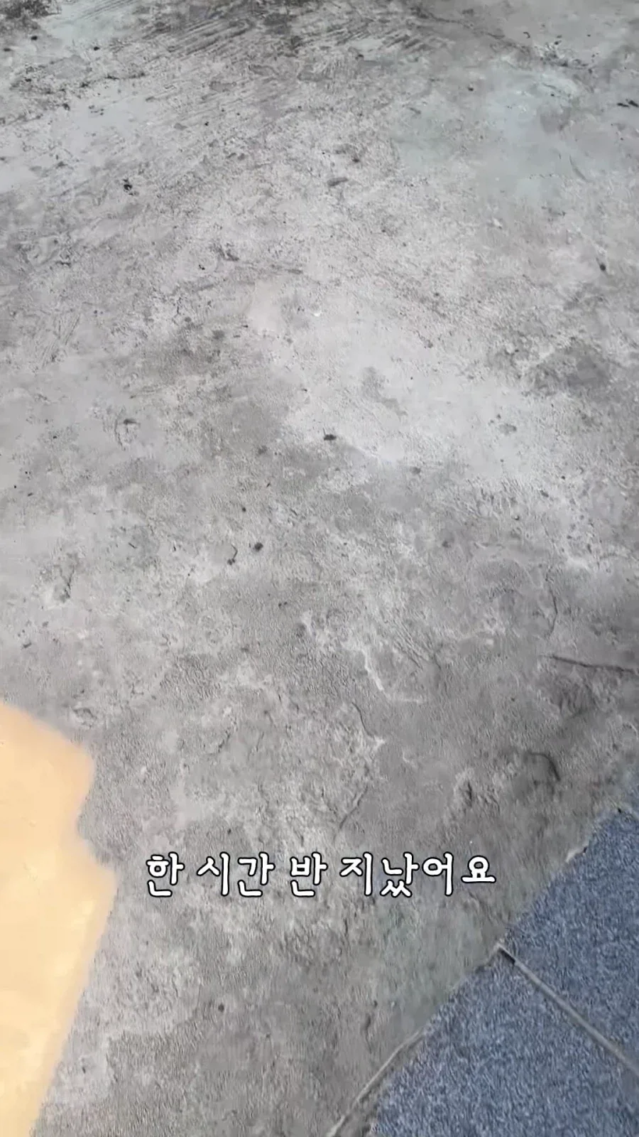 "거 낮잠자기 딱좋은 날씨네" 이미지 18